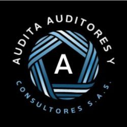 AUDITA AUDITORES Y CONSULTORES S.A.S.